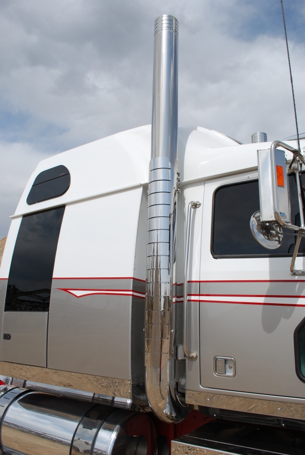 Ramblin Rose Western Star
