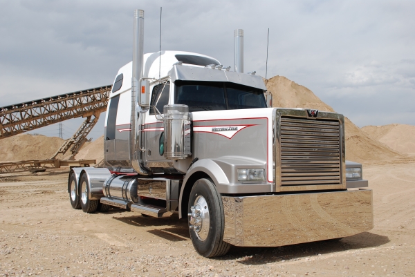 Ramblin Rose Western Star