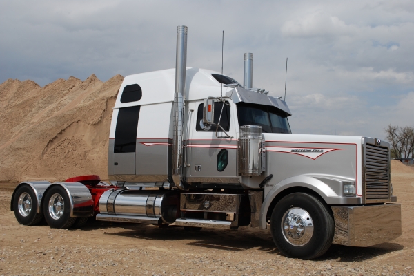 Ramblin Rose Western Star