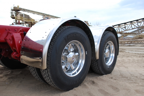 Ramblin Rose Western Star